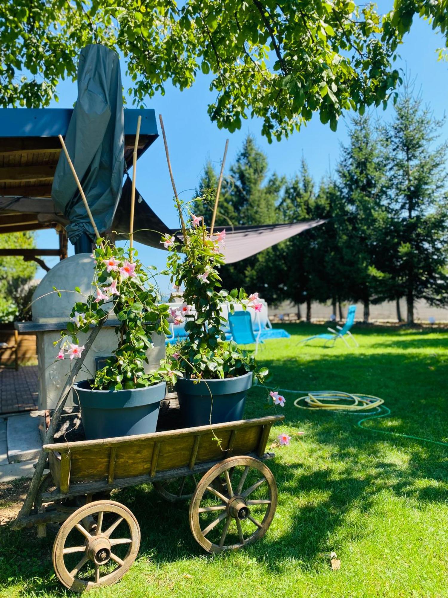Rooms & Apartment Zala Airport Shuttle Option Cerklje na Gorenjskem Εξωτερικό φωτογραφία